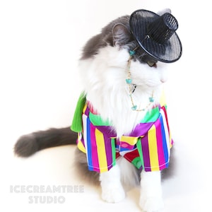 May include: A white and gray cat wearing a colorful striped shirt, a black hat, and a turquoise beaded necklace. The cat is sitting on a white background.