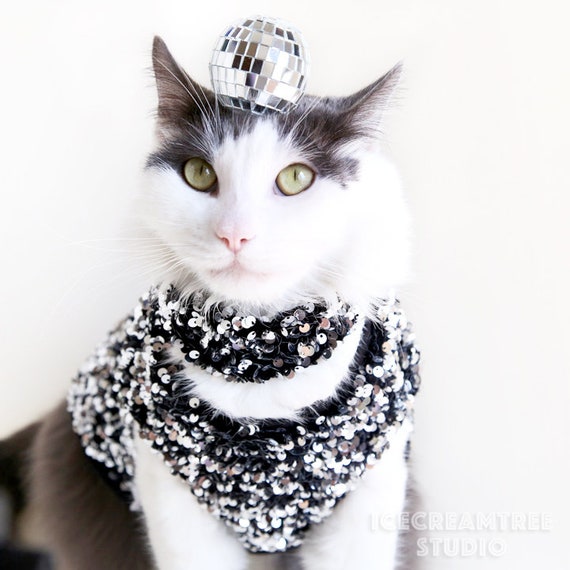 Disco ball for cats 2025