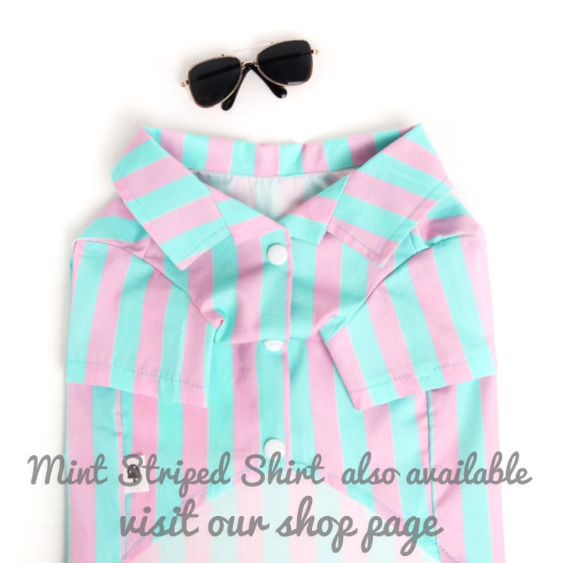 Puede incluir: Una camisa a rayas rosa y menta con cuello y botones. La camisa est&aacute; hecha para una mascota y tiene mangas cortas.  "Mint Striped Shirt also available visit our shop page" est&aacute; escrito en la parte inferior de la imagen.