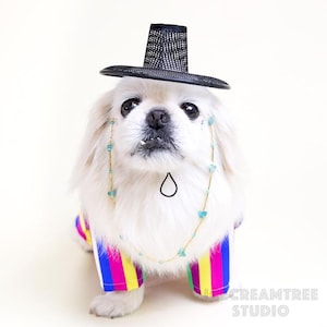 Korean Gat Hat, Korean Traditional Headpiece, Beads Chains, Cute Hanbok Photo Hat, Photo Prop, Dog & Cat Hat - Kpop Birthday Holiday Gift image 7