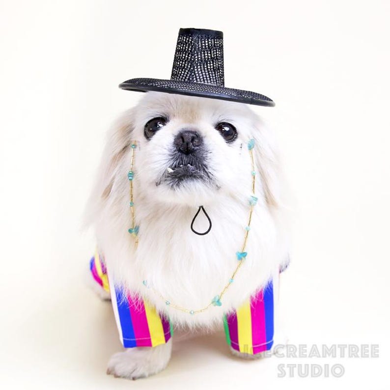 Korean Gat Hat, Korean Traditional Headpiece, Beads Chains, Cute Hanbok Photo Hat, Photo Prop, Dog & Cat Hat - Kpop Birthday Holiday Gift image 7