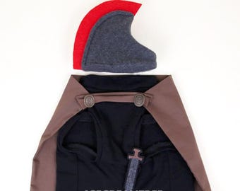 May include: A black sleeveless garment featuring a brown cape attached with two circular buttons, a small gray sword applique, and a separate gray helmet with a red crest. The text ICECREAMTREE STUDIO is printed in white on the black fabric.