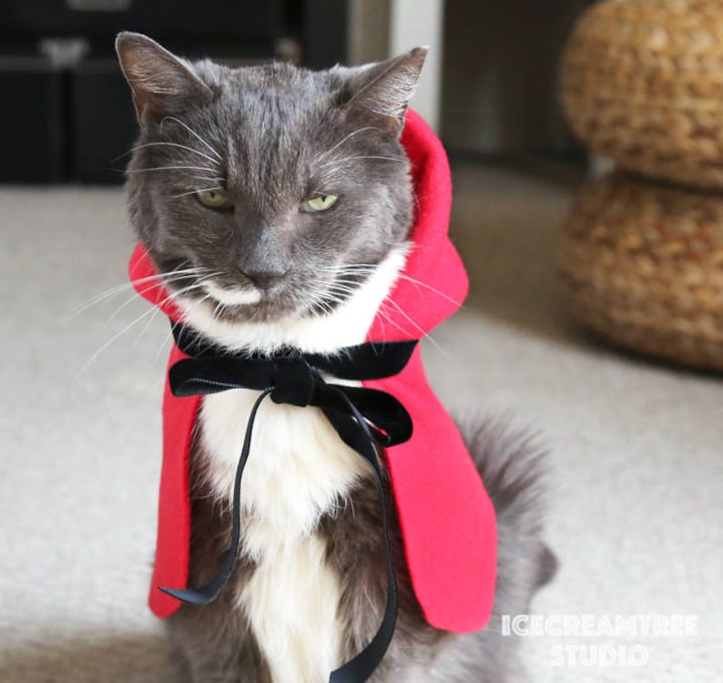 Dog Hood Cape Pet Fashion Cape Icecreamtree Studio Little Red Riding Hood Cat Hood Cape Pet Hooded Cape