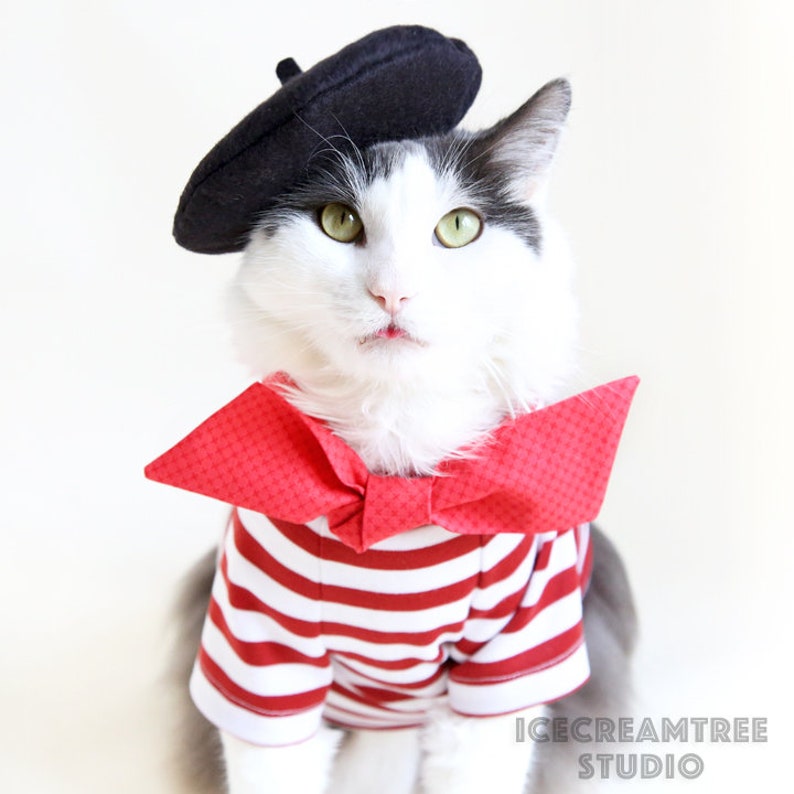 French Look Outfit Set Pet Beret Hat, Red Scarf, Black White Striped T-shirt, Cat Beret Hat Set, Dog Beret Hat Set, Birthday Photo Gift image 8