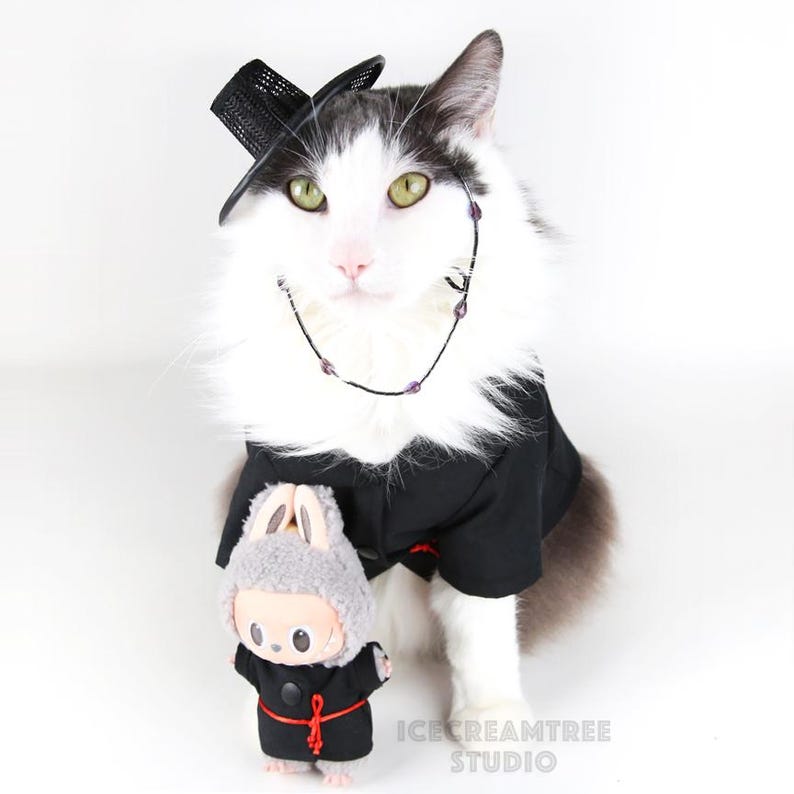 Korean Gat Hat, Korean Traditional Headpiece, Beads Chains, Cute Hanbok Photo Hat, Photo Prop, Dog & Cat Hat - Kpop Birthday Holiday Gift image 6