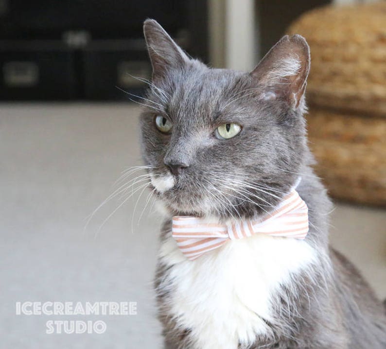 Sparkle Glitter Gold Bow Tie Bow Tie Elastic Pet Collar Dog Etsy