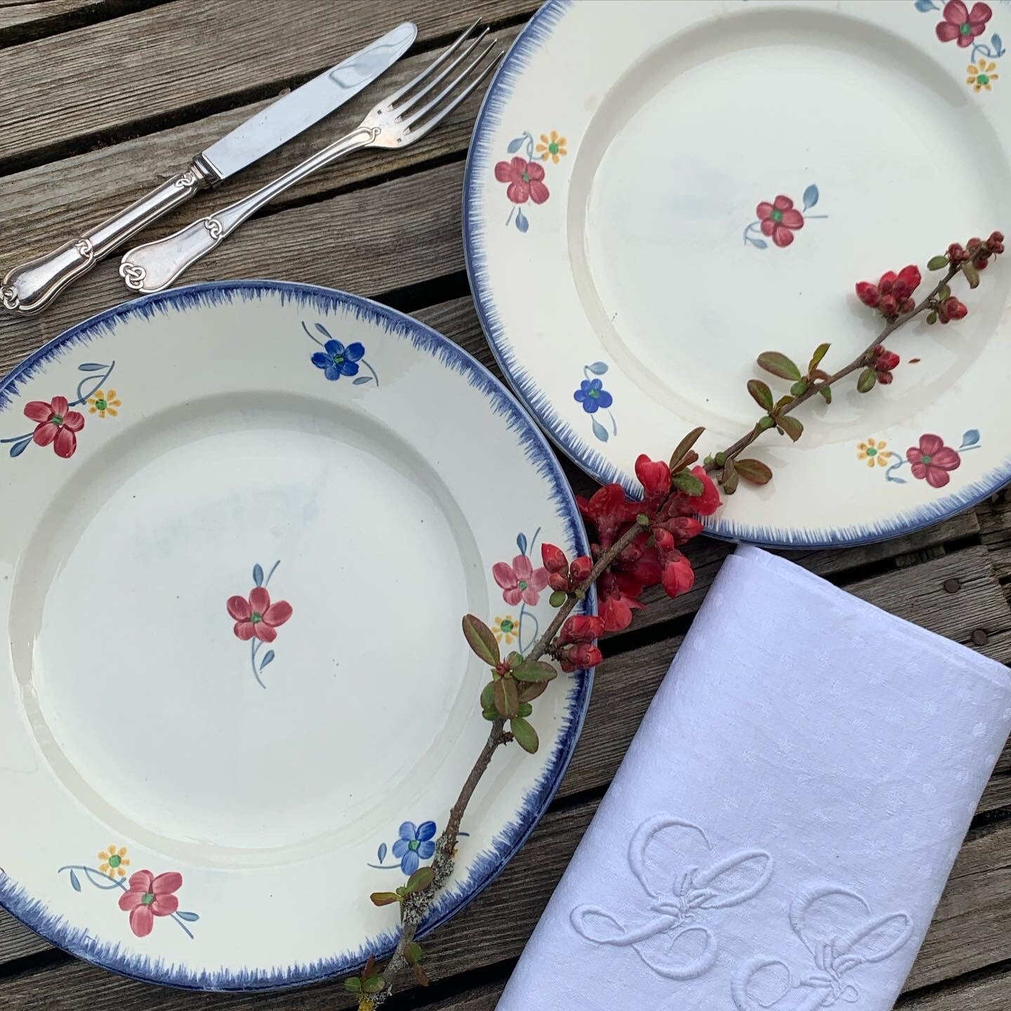 2 Plats/Grandes Assiettes Plates Mary Lou Manufacture Digoin , Sarreguemines