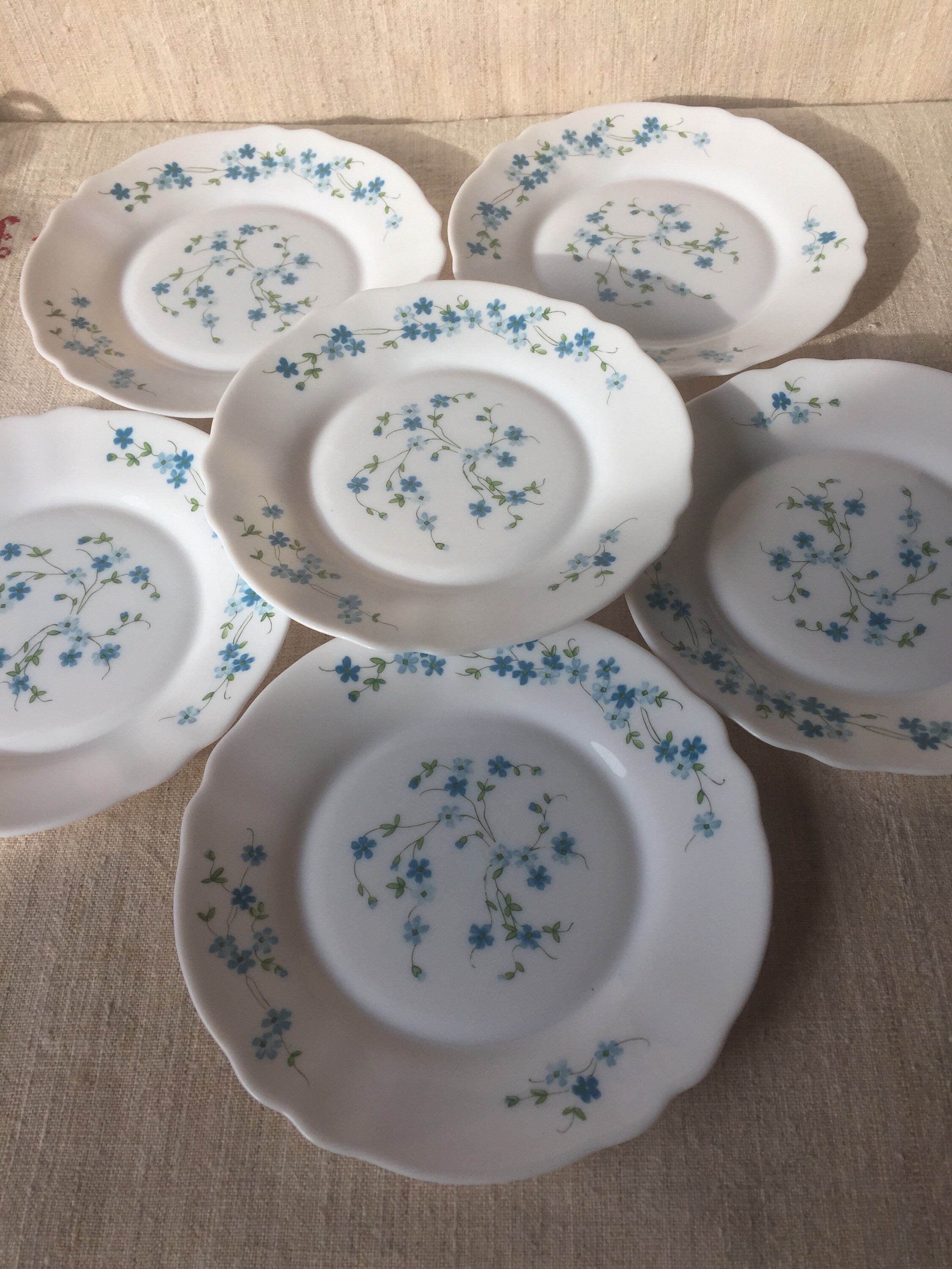 6 Assiettes Dessert Veronica Arcopal Modèle Myosotis , Plate Model French Vintage