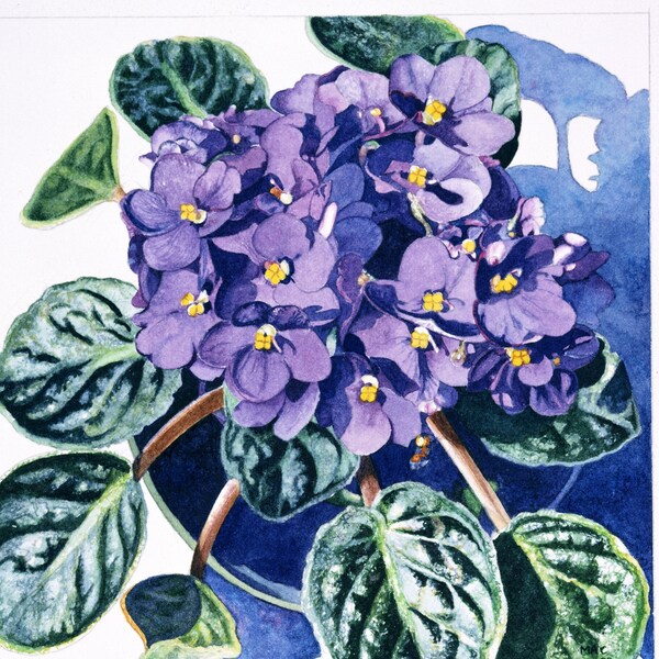 Violet Card - Etsy