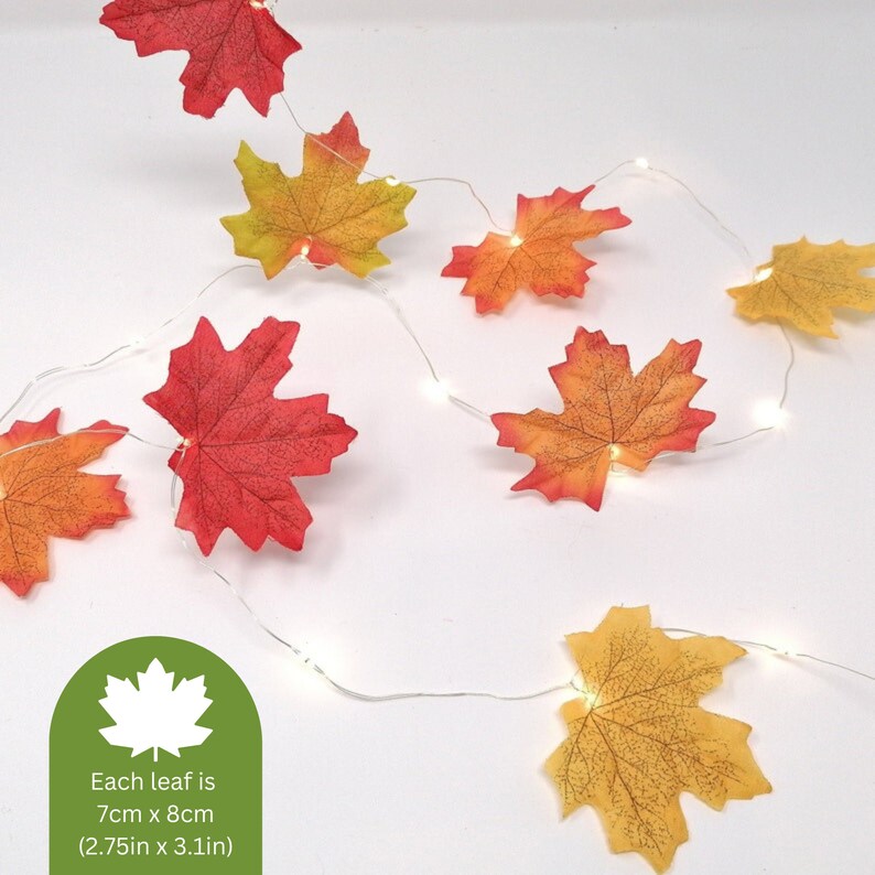 May include: A string of fairy lights with warm white lights and maple leaf cutouts. The leaves are in shades of orange, yellow, and red. Each leaf is 2.75 inches by 3.1 inches.