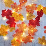 Fairy Lights