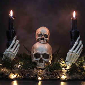 Könnte beinhalten: Zwei weiße Totenkopf-Kerzenhalter mit schwarzen Kerzen, die jeweils von einer Skeletthand gehalten werden. Die Kerzen sind angezündet und die Szene ist auf einem Bett aus Moos und Zweigen aufgebaut.
