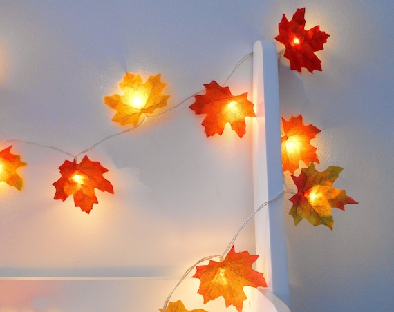 Light garland sales for bedroom