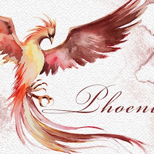 Ensemble de cliparts phoenix aquarelle, sorcier, fantastique, oiseau fantastique, feu, oiseau magique, magique, png transparent, sorcellerie,