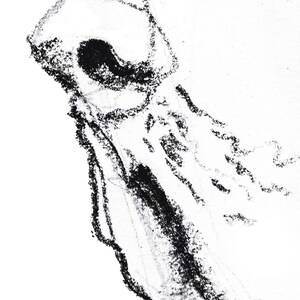 Basset Hound Dog Charcoal Drawing, Fine Art Print image 2
