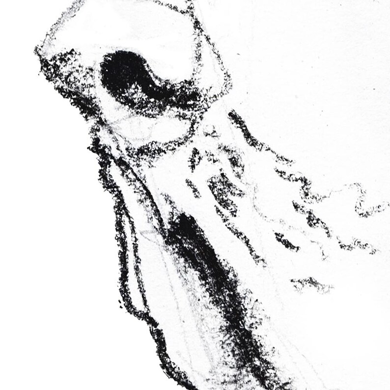 Basset Hound Dog Charcoal Drawing, Fine Art Print image 2