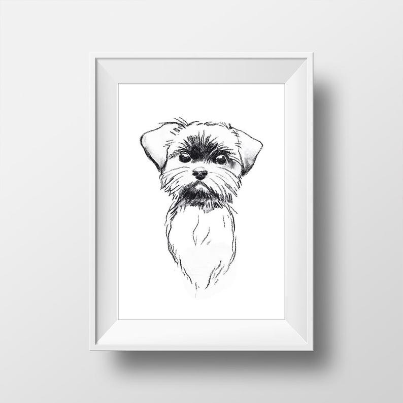 Brussels Griffon Dog Art Print, Charcoal Drawing, Pet Portrait Home Decor image 2
