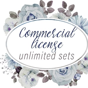 Commercial License for Unlimited Clipart Sets
