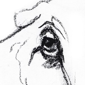 Basset Hound Dog Charcoal Drawing, Fine Art Print image 4