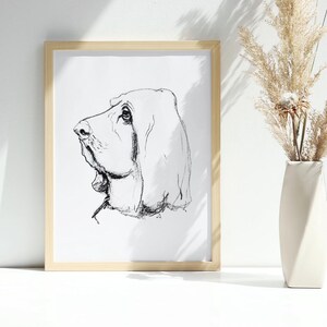 Basset Hound Dog Charcoal Drawing, Fine Art Print image 3