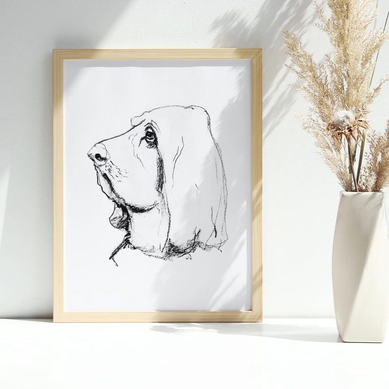 Basset Hound Dog Charcoal Drawing, Fine Art Print image 3