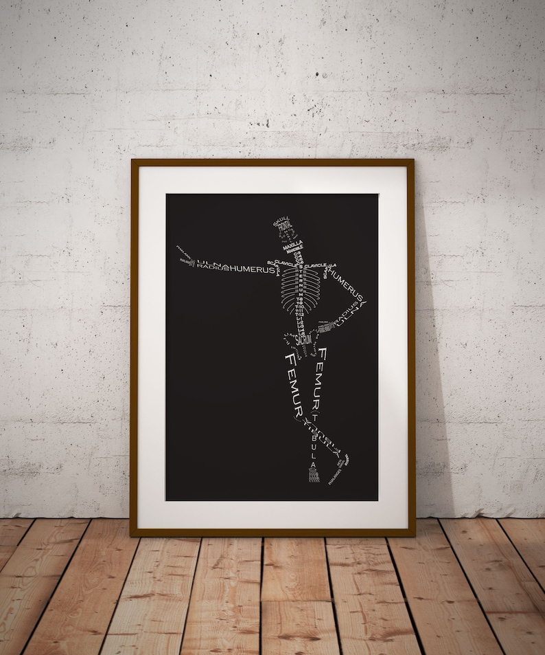 Skeleton Imageprint Skeleton Print - Bones of the Human Body - Biology Print - Human Body ...