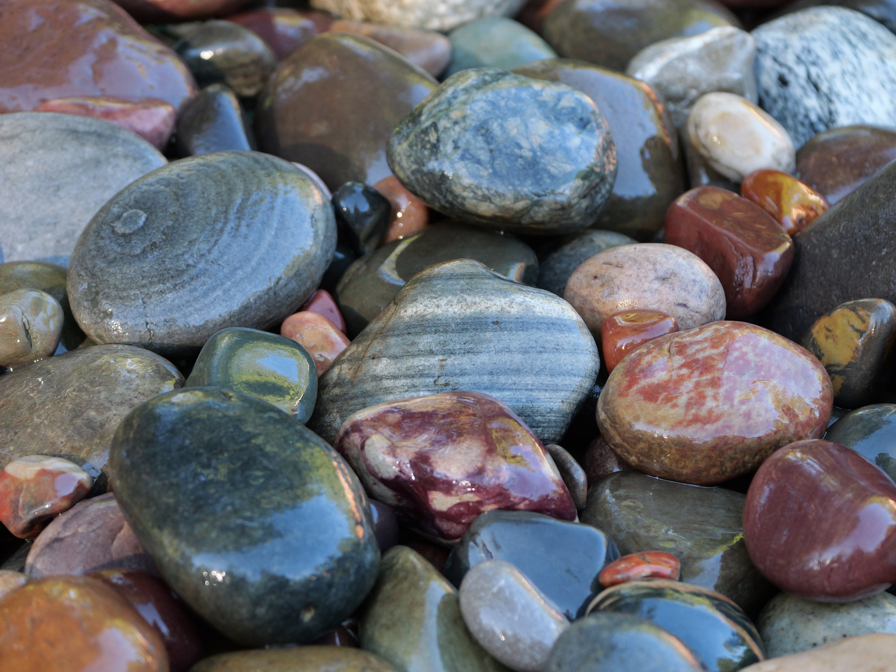 PureCove Decorative River Rocks 0.5-1inch ¨C 10 Lbs