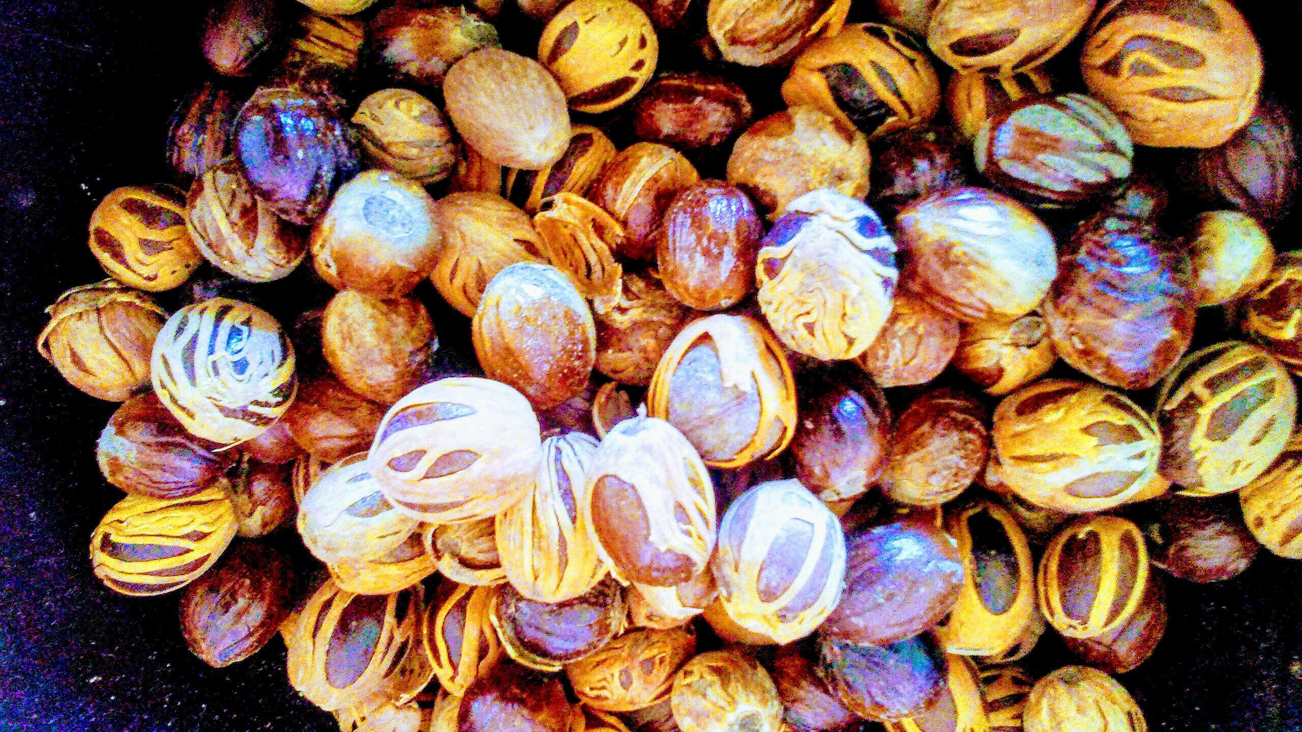 Nutmeg Whole in Shell10 lbs Dominica Etsy