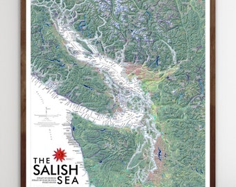 The Salish Sea (24 in x 20 in)