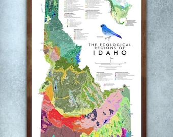 Puede incluir: Un mapa enmarcado titulado The Ecological Regions of Idaho, que presenta una representación topográfica detallada y multicolor del estado. Incluye una leyenda, un pequeño mapa insertado de Norteamérica y una ilustración de un pájaro azul.