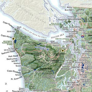 May include: A detailed map of the Olympic Peninsula and surrounding areas in Washington State, USA. The map highlights cities, bodies of water, and mountain ranges, including Olympic National Park. The color palette is a mix of greens, blues, and browns.