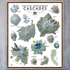 Cascades at Comparative Scale (24 in x 20 in)