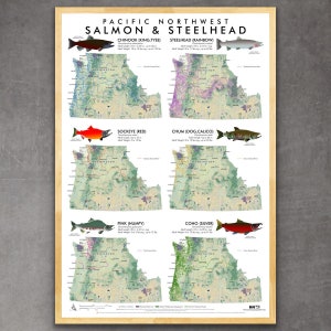 May include: A map of Oregon and Washington state showing the distribution of six types of Pacific Northwest salmon and steelhead: Chinook, Steelhead, Sockeye, Chum, Pink, and Coho. Each species is illustrated with a colorful fish and a description of its adult size and weight.