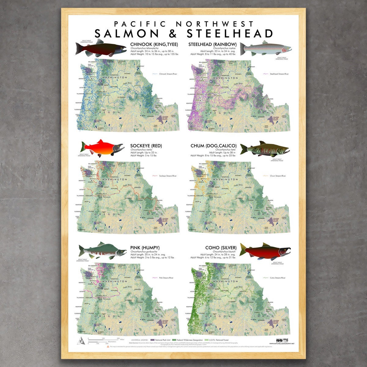 Pacific Northwest Salmon & Steelhead Distribution Map
