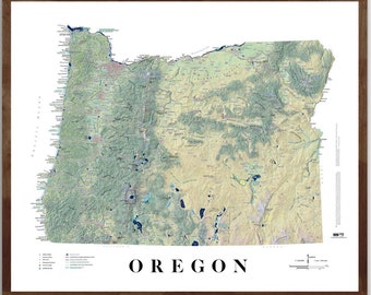 May include: A framed map of Oregon, displaying the state's topography in shades of green, brown, and blue. The word "OREGON" is printed in a bold, black font at the bottom. The map is enclosed in a dark brown wooden frame.