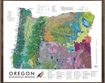 Oregon Ecological Regions (24 in x 20 in)