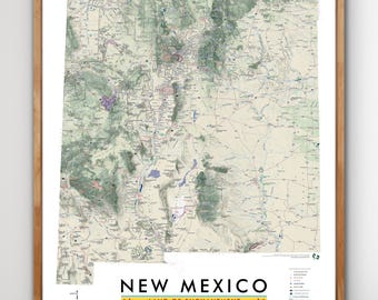 New Mexico (20 in x 24 in)