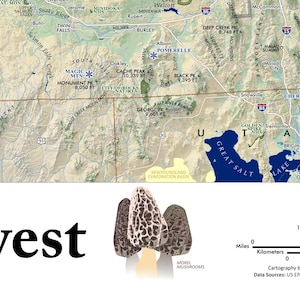May include: A map of the western United States with a cluster of morel mushrooms in the foreground. The map highlights mountain ranges, rivers, and cities, including the Great Salt Lake and Snake River.