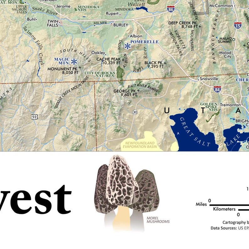 May include: A map of the western United States with a cluster of morel mushrooms in the foreground. The map highlights mountain ranges, rivers, and cities, including the Great Salt Lake and Snake River.