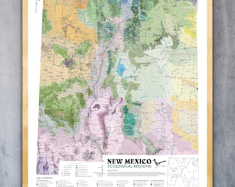 New Mexico Ecological Regions (20 in x 24 in)