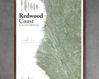 Redwood Coast (28 in x 20 in)