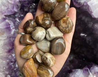 Petrified Wood - Authentic, handpicked stones.