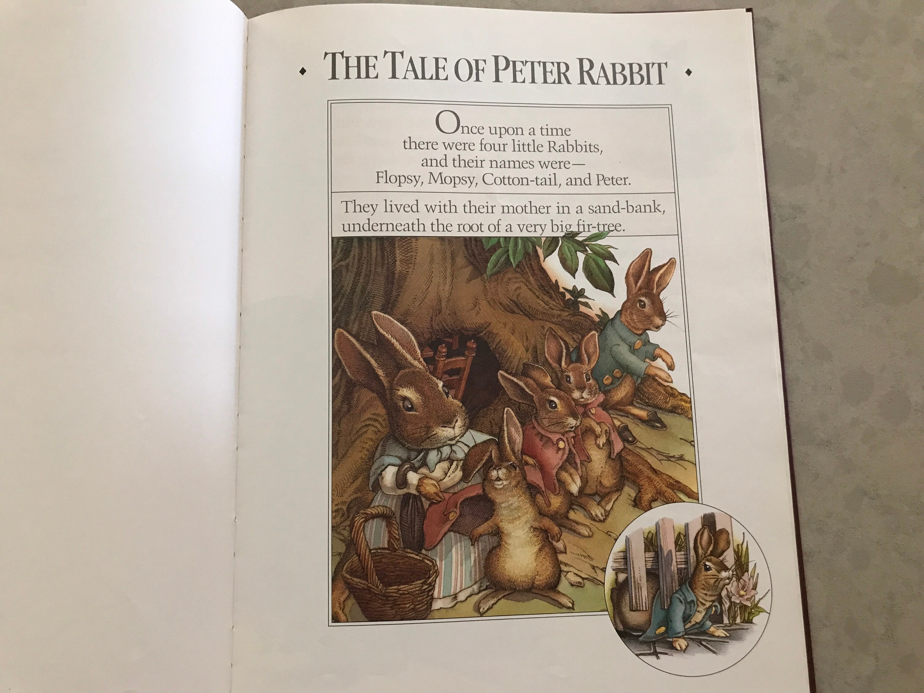 The　Peter　Classic　and　Cherished　Rabbit　Tale　of　Other　Stories　Etsy　India