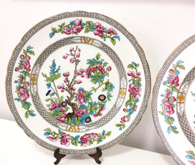 Multi-coloured 2 England Dinner Plates hand painted Vintage scalloped Aynsley Indian Tree