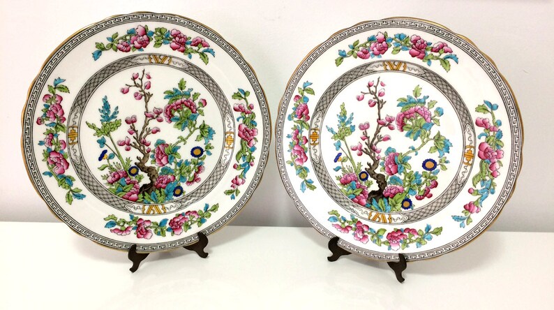 Multi-coloured 2 England Dinner Plates hand painted Vintage scalloped Aynsley Indian Tree