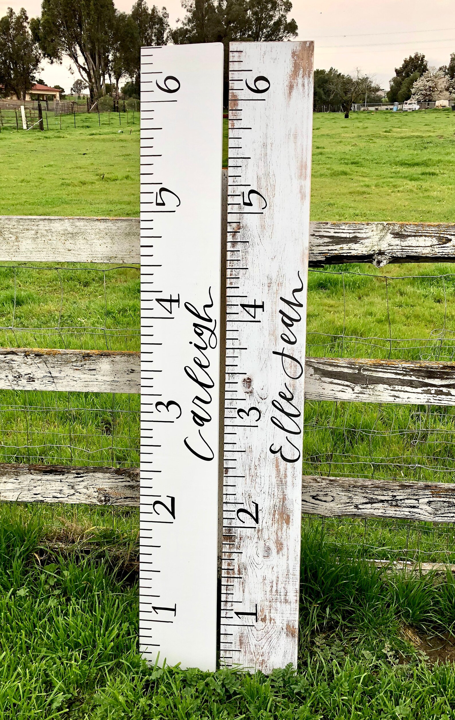 Custom Growth Chart growing stick giant ruler growth stick Etsy