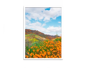 Bleiben Sie schöne Poster, Lake Elsinore, Lake Elsinore Druck, California Mohnblumen, Mohnblumen, Mohnblumen Druck, Blumen, Blumen, Mohnblumen Fotografie
