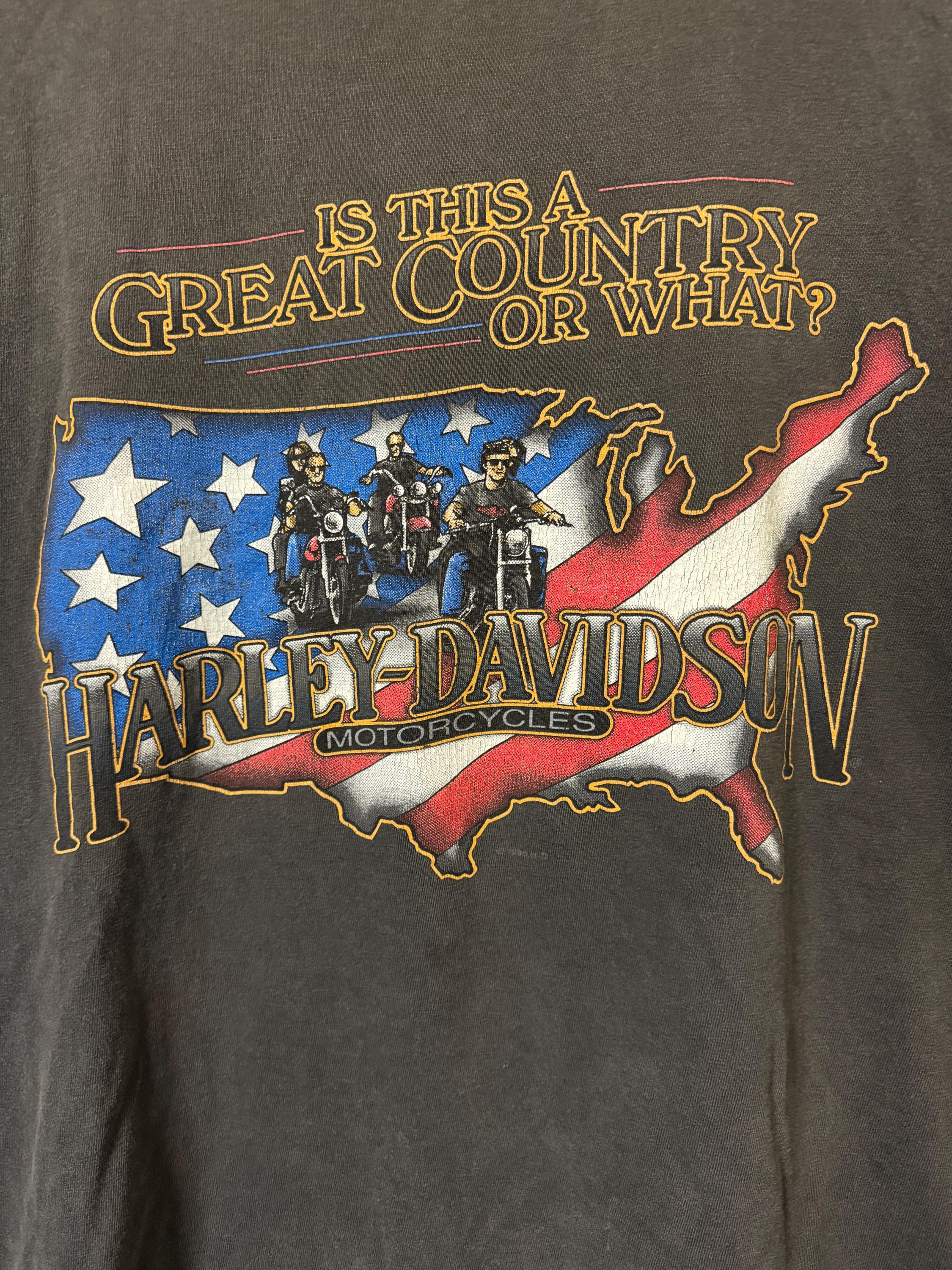 Harley-Davidson Tシャツ アメリカ国旗 地元熊本小山モータス Harley-Davidson Tシャツ アメリカ国旗 地元熊本小山モータス Teddy