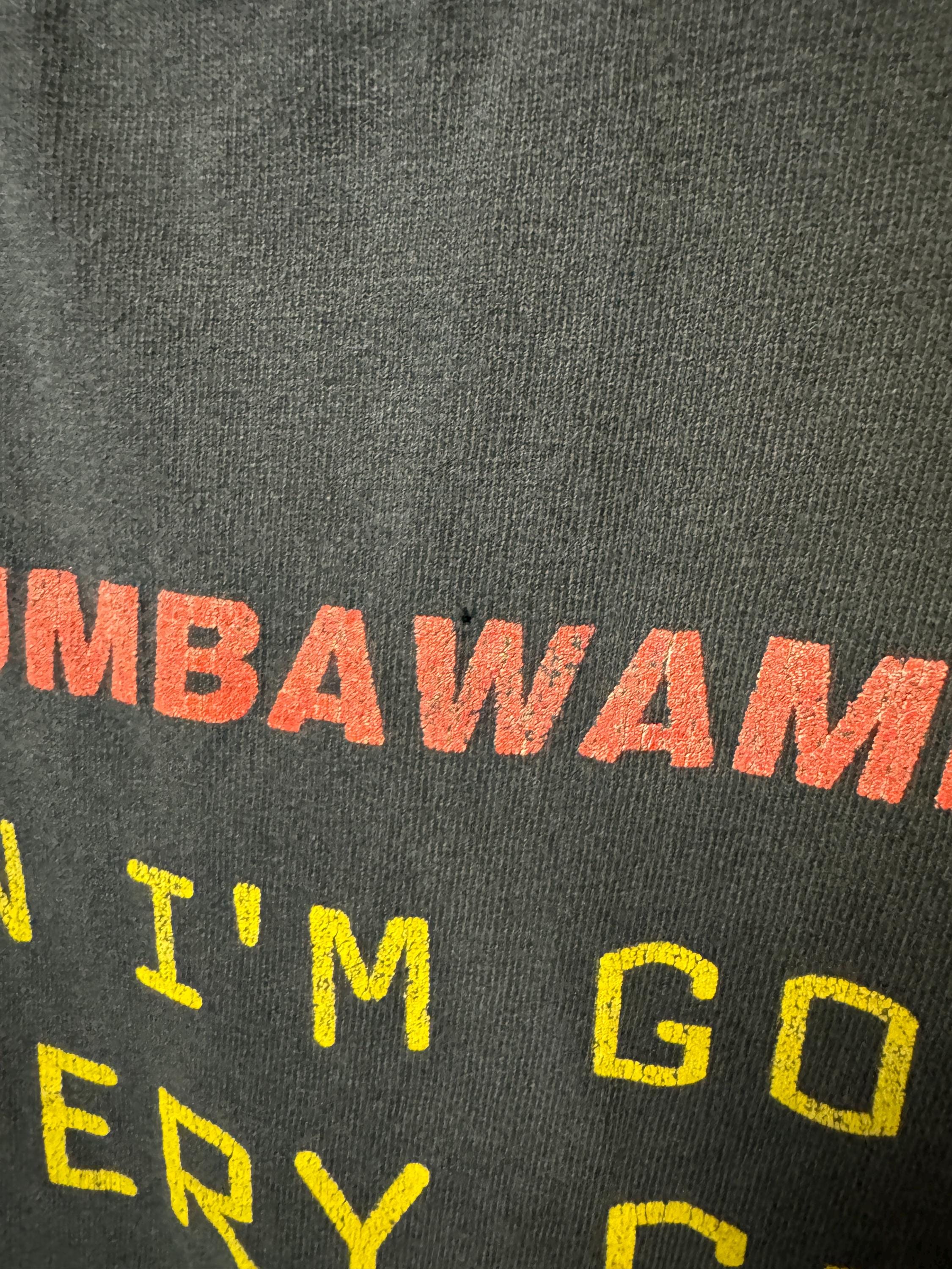 Vintage Chumbawamba Tubthumper Born to Be Bad Double Sided