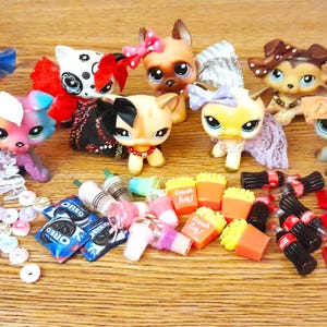 LPS 17 Pc Playset Aftermarket 1 CAT or DOG 2 Food Items and 12 Accessories